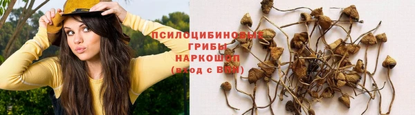 гашиш Беломорск