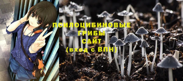 винт Богданович